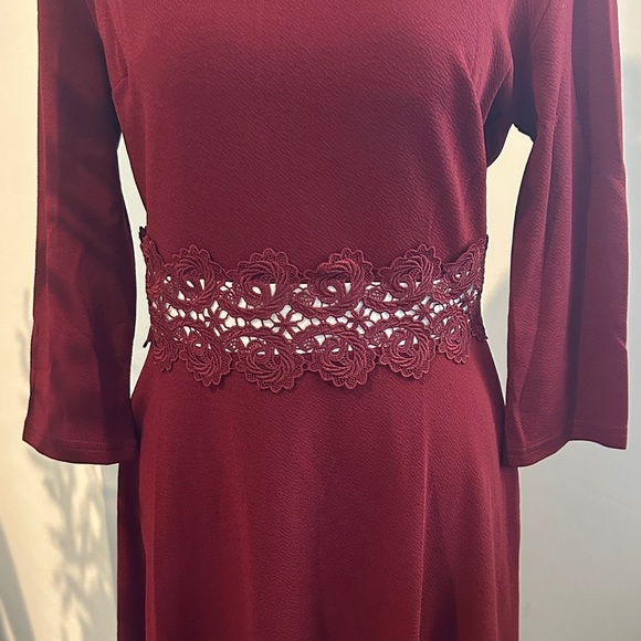 Elegant Burgundy Lace-Trim Dress - Picture 2 of 4